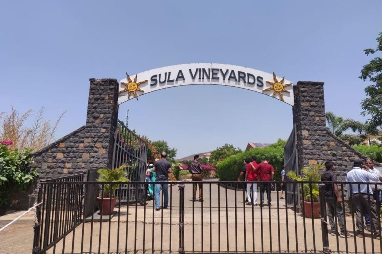 Sula Wines and Nashik: How the Region Became Associated with Indian Wine 25 A panoramic view of Sola Vineyards in Kenya, showcasing lush grapevines under a clear blue sky.