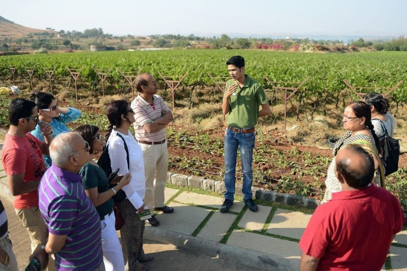 Sula Wines and Nashik: How the Region Became Associated with Indian Wine 27 A group of people gathered in a vineyard, surrounded by lush grapevines under a clear blue sky.